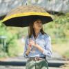 100%完全遮光 晴雨兼用日傘 Sサイズ シャンブレー